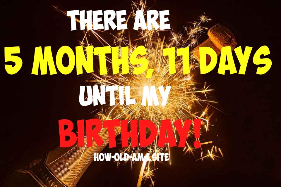 ᐈ Born On 11 November 1995 My Age in 2024? [100% ACCURATE Age Calculator!]