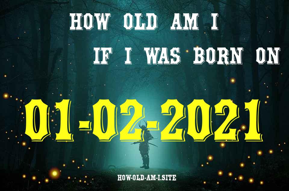 ᐈ Born On 01 February 2021 My Age in 2024? [100% ACCURATE Age Calculator!]
