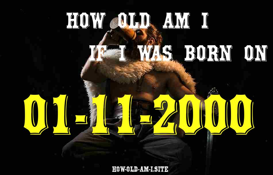 ᐈ Born On 01 November 2000 My Age in 2024? [100% ACCURATE Age Calculator!]