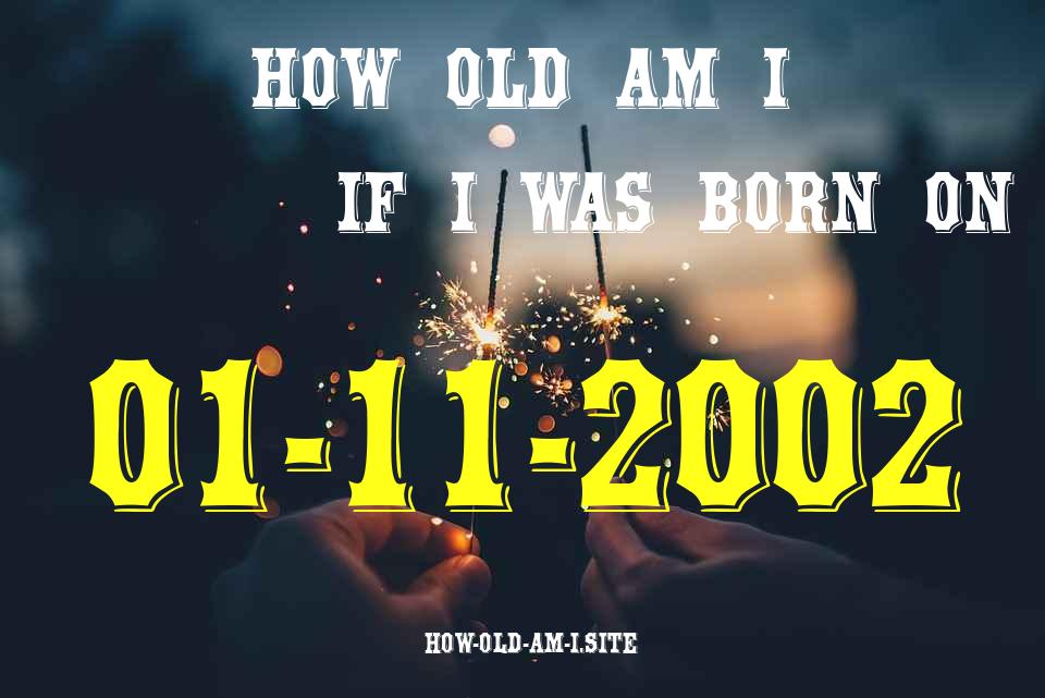 ᐈ Born On 01 November 2002 My Age in 2024? [100% ACCURATE Age Calculator!]