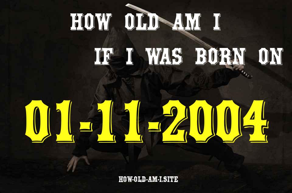 ᐈ Born On 01 November 2004 My Age in 2024? [100% ACCURATE Age Calculator!]