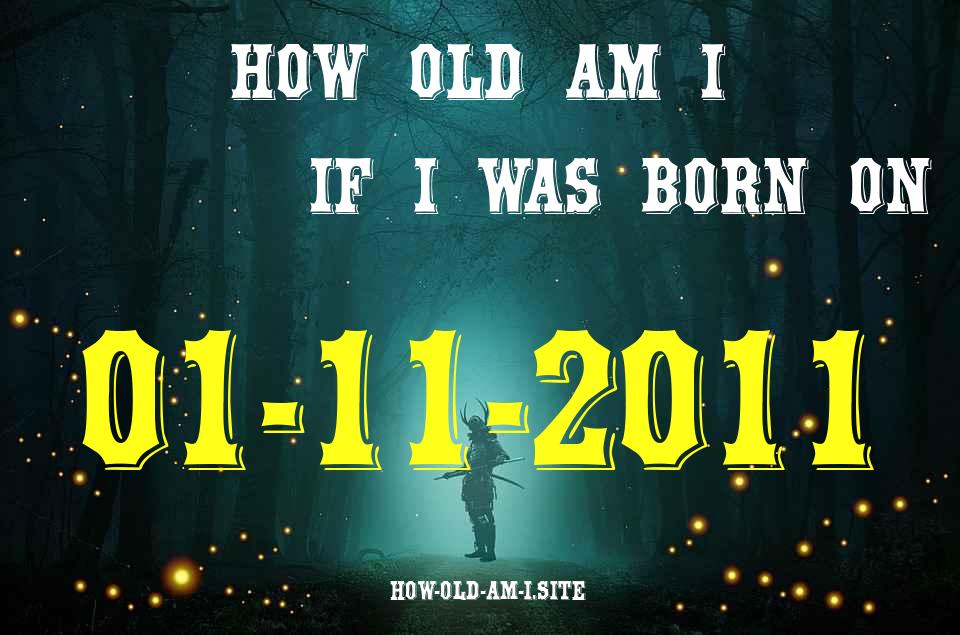ᐈ Born On 01 November 2011 My Age in 2024? [100% ACCURATE Age Calculator!]