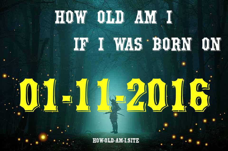 ᐈ Born On 01 November 2016 My Age in 2024? [100% ACCURATE Age Calculator!]
