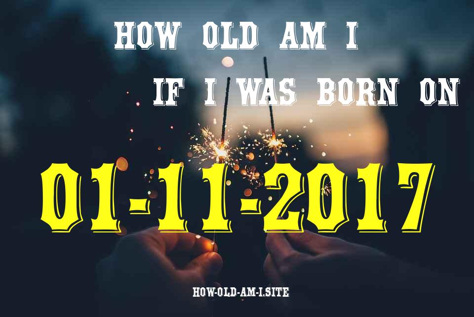 ᐈ Born On 01 November 2017 My Age in 2024? [100% ACCURATE Age Calculator!]
