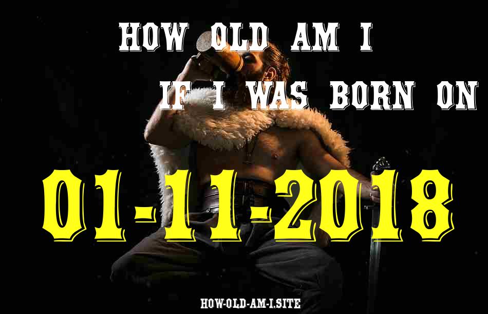 ᐈ Born On 01 November 2018 My Age in 2024? [100% ACCURATE Age Calculator!]