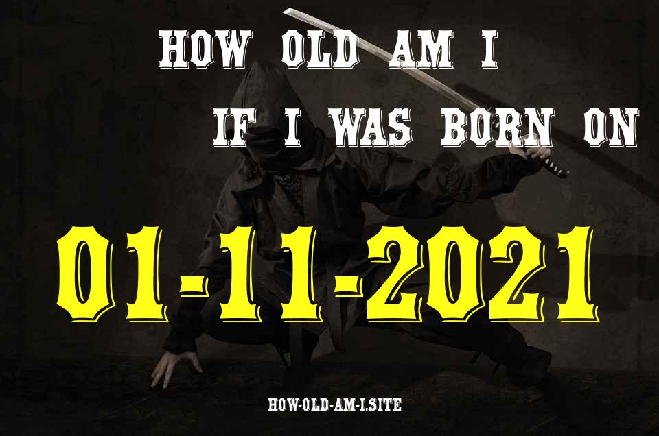 ᐈ Born On 01 November 2021 My Age in 2024? [100% ACCURATE Age Calculator!]