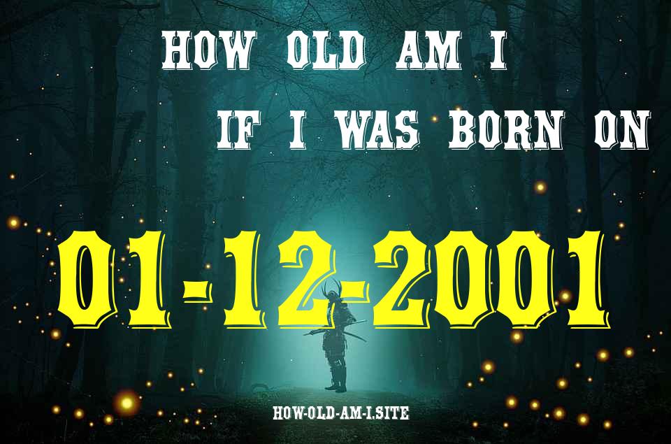 ᐈ Born On 01 December 2001 My Age in 2024? [100% ACCURATE Age Calculator!]