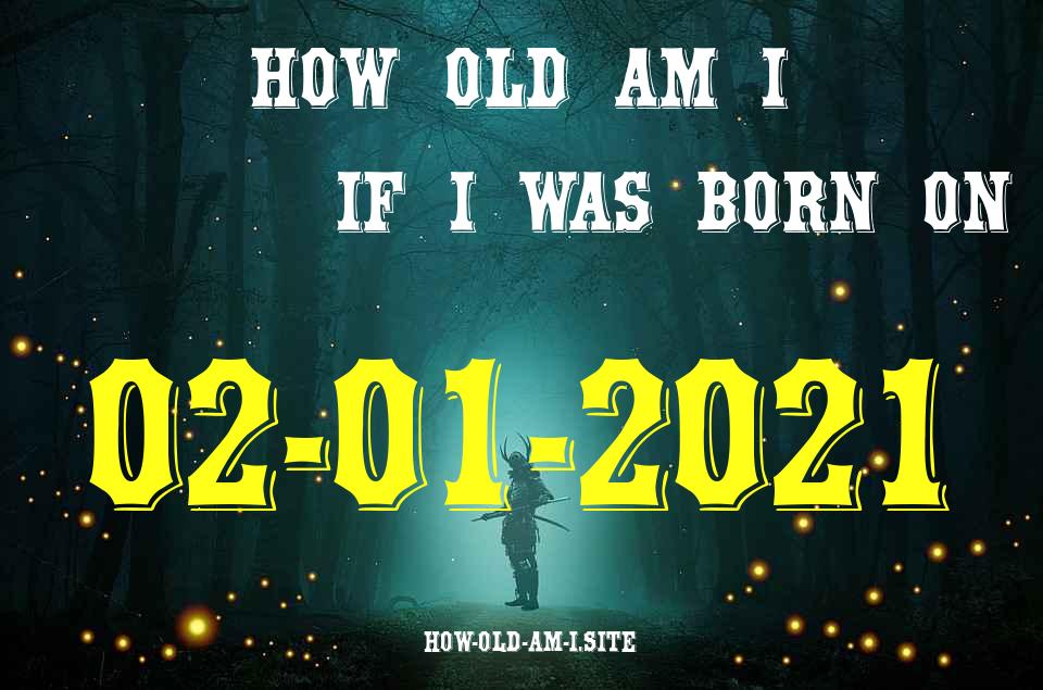 ᐈ Born On 02 January 2021 My Age in 2024? [100% ACCURATE Age Calculator!]