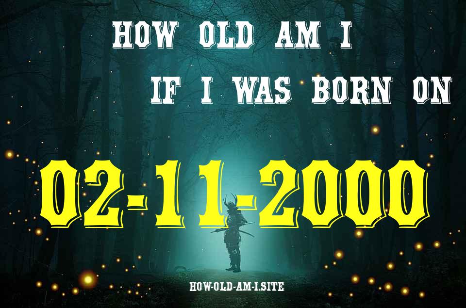 ᐈ Born On 02 November 2000 My Age in 2024? [100% ACCURATE Age Calculator!]