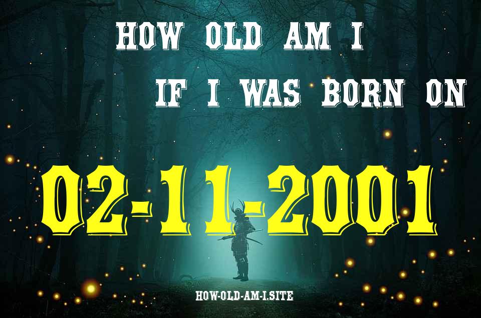 ᐈ Born On 02 November 2001 My Age in 2024? [100% ACCURATE Age Calculator!]