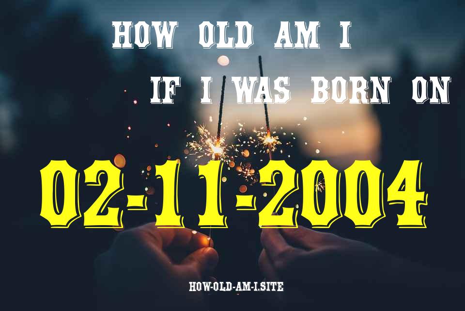ᐈ Born On 02 November 2004 My Age in 2024? [100% ACCURATE Age Calculator!]