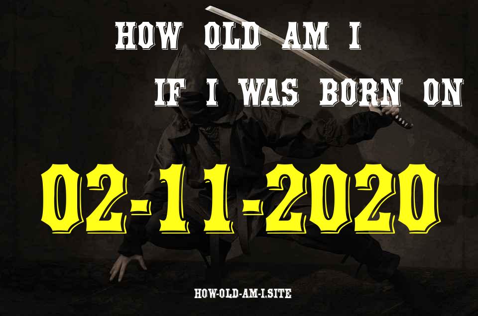 ᐈ Born On 02 November 2020 My Age in 2024? [100% ACCURATE Age Calculator!]