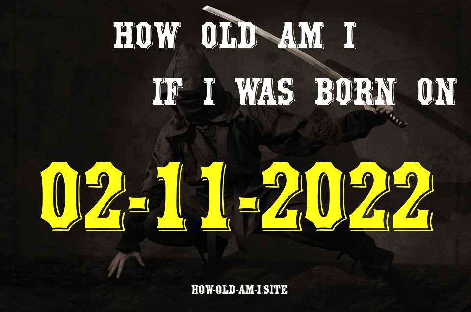 ᐈ Born On 02 November 2022 My Age in 2024? [100% ACCURATE Age Calculator!]