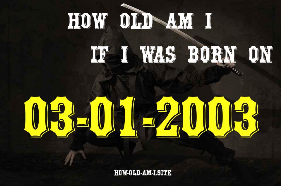 ᐈ Born On 03 January 2003 My Age in 2024? [100% ACCURATE Age Calculator!]