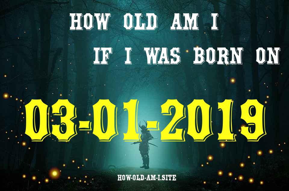 ᐈ Born On 03 January 2019 My Age in 2024? [100% ACCURATE Age Calculator!]