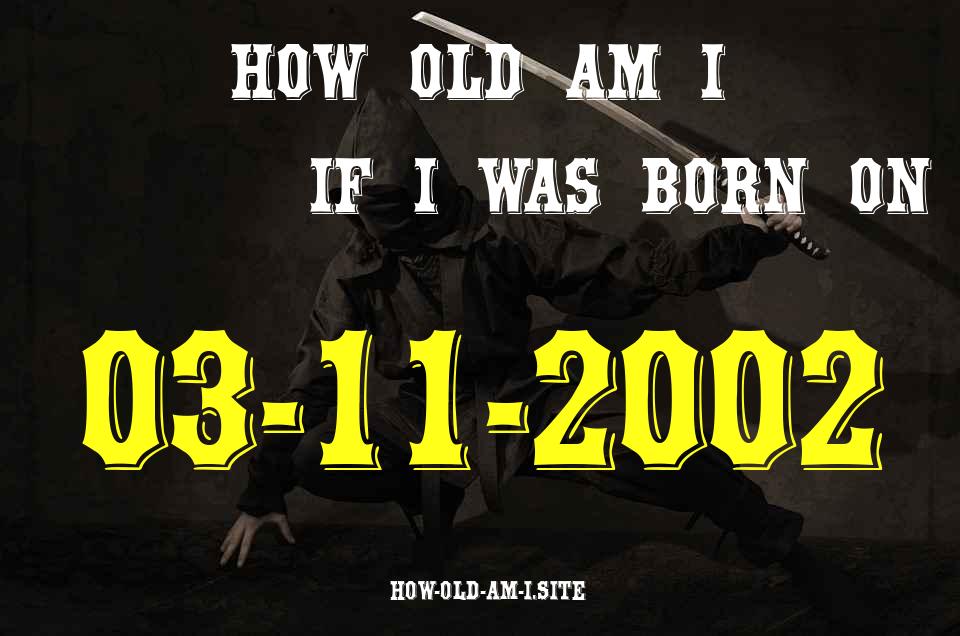 ᐈ Born On 03 November 2002 My Age in 2024? [100% ACCURATE Age Calculator!]