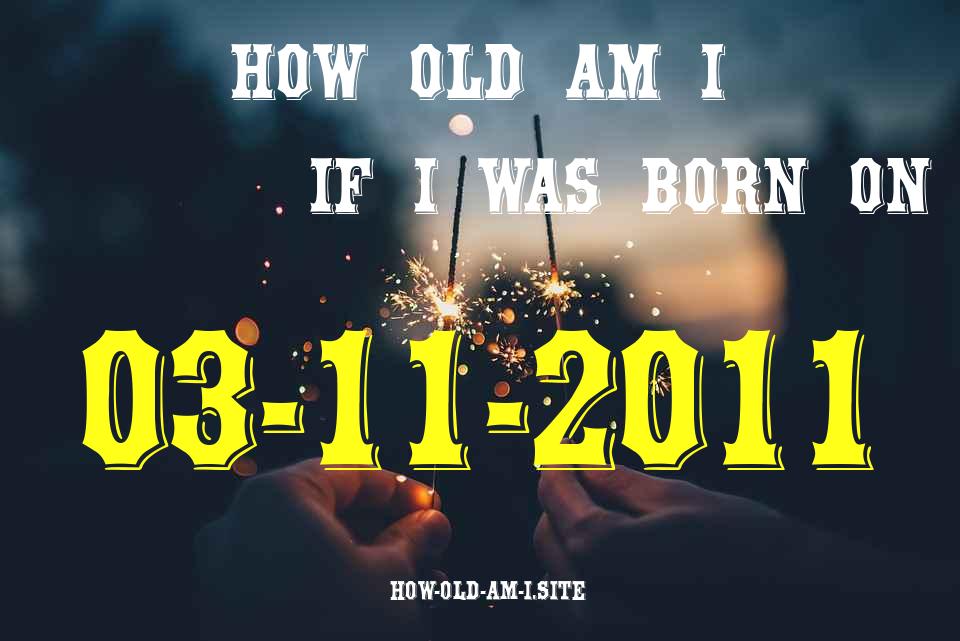 ᐈ Born On 03 November 2011 My Age in 2024? [100% ACCURATE Age Calculator!]