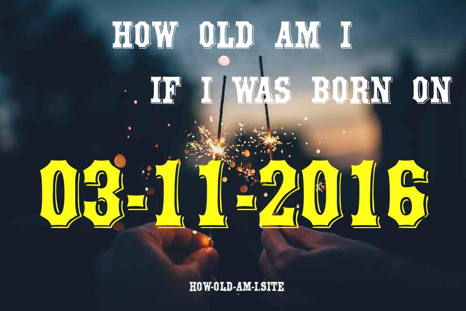 ᐈ Born On 03 November 2016 My Age in 2024? [100% ACCURATE Age Calculator!]