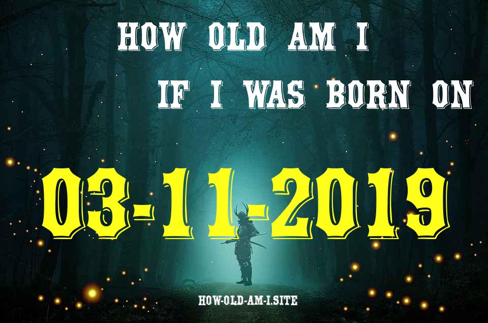 ᐈ Born On 03 November 2019 My Age in 2024? [100% ACCURATE Age Calculator!]