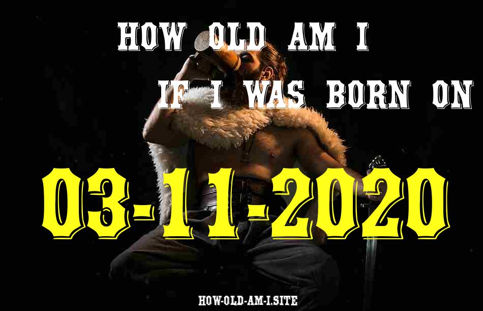 ᐈ Born On 03 November 2020 My Age in 2024? [100% ACCURATE Age Calculator!]