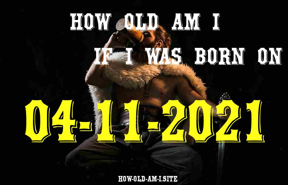 ᐈ Born On 04 November 2021 My Age in 2024? [100% ACCURATE Age Calculator!]