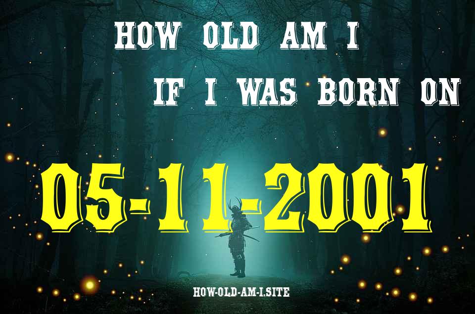 ᐈ Born On 05 November 2001 My Age in 2024? [100% ACCURATE Age Calculator!]