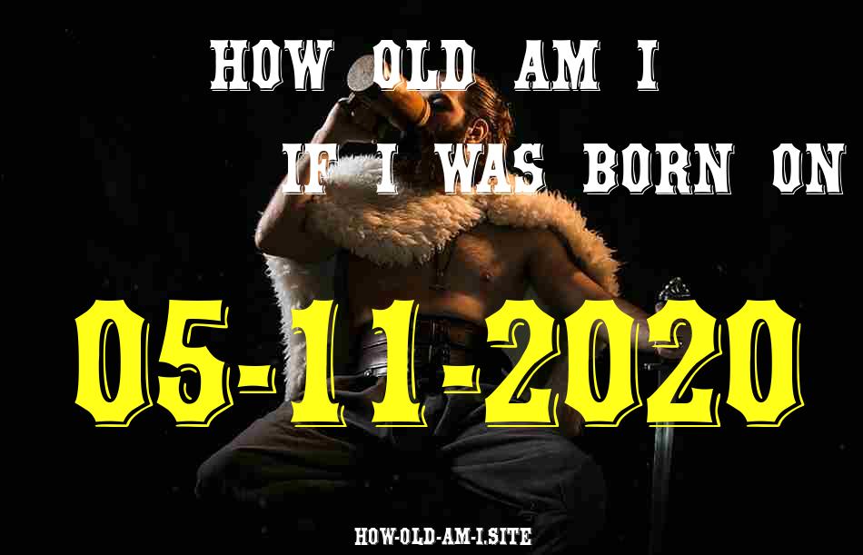 ᐈ Born On 05 November 2020 My Age in 2024? [100% ACCURATE Age Calculator!]