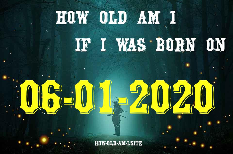 ᐈ Born On 06 January 2020 My Age in 2024? [100% ACCURATE Age Calculator!]