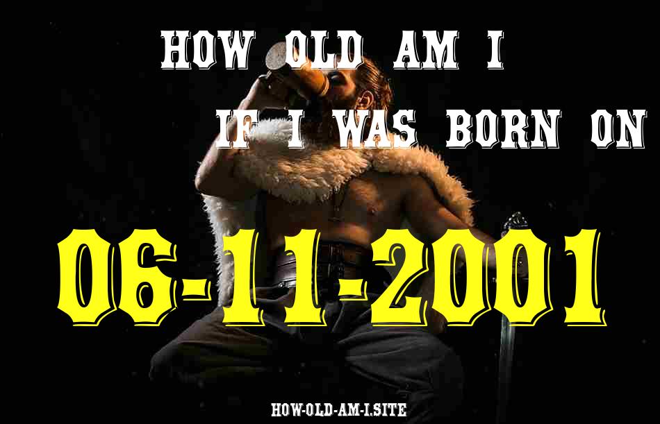 ᐈ Born On 06 November 2001 My Age in 2024? [100% ACCURATE Age Calculator!]