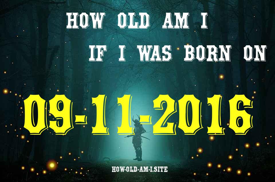 ᐈ Born On 09 November 2016 My Age in 2024? [100% ACCURATE Age Calculator!]