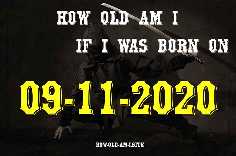 ᐈ Born On 09 November 2020 My Age in 2024? [100% ACCURATE Age Calculator!]