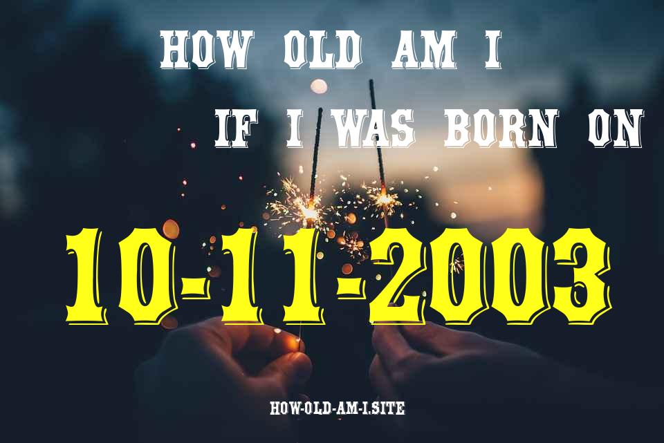 ᐈ Born On 10 November 2003 My Age in 2024? [100% ACCURATE Age Calculator!]