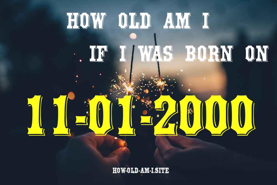 ᐈ Born On 11 January 2000 My Age in 2024? [100% ACCURATE Age Calculator!]
