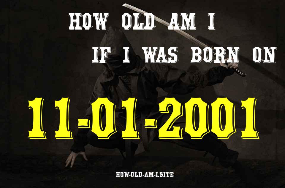ᐈ Born On 11 January 2001 My Age in 2024? [100% ACCURATE Age Calculator!]