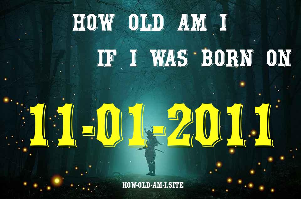 ᐈ Born On 11 January 2011 My Age in 2024? [100% ACCURATE Age Calculator!]