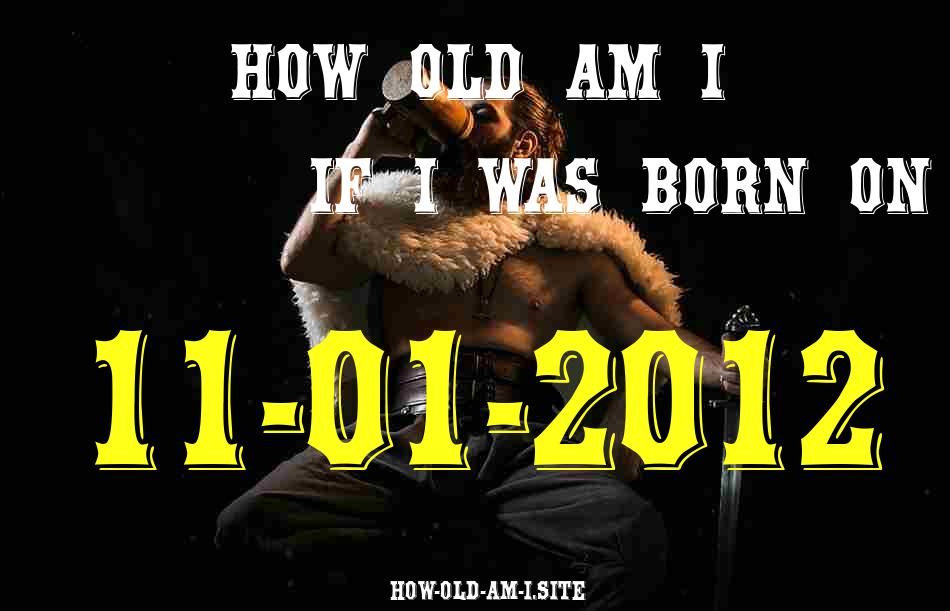 ᐈ Born On 11 January 2012 My Age in 2024? [100% ACCURATE Age Calculator!]