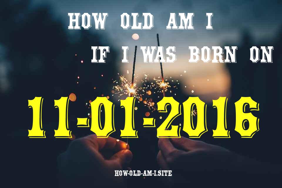 ᐈ Born On 11 January 2016 My Age in 2024? [100% ACCURATE Age Calculator!]