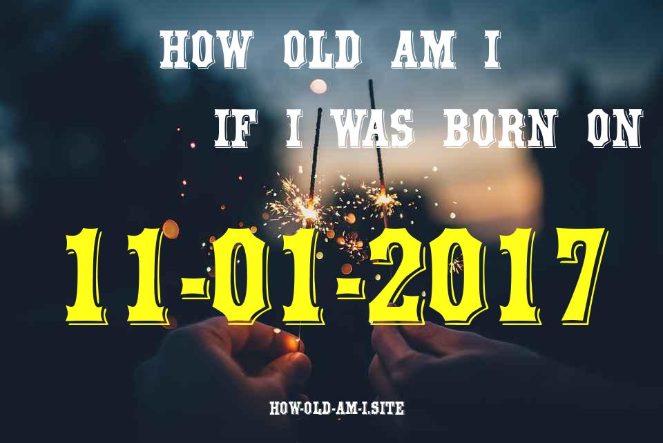ᐈ Born On 11 January 2017 My Age in 2024? [100% ACCURATE Age Calculator!]