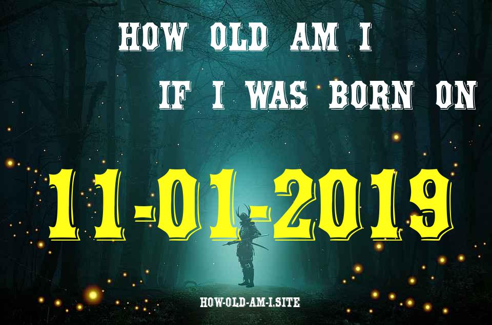 ᐈ Born On 11 January 2019 My Age in 2024? [100% ACCURATE Age Calculator!]