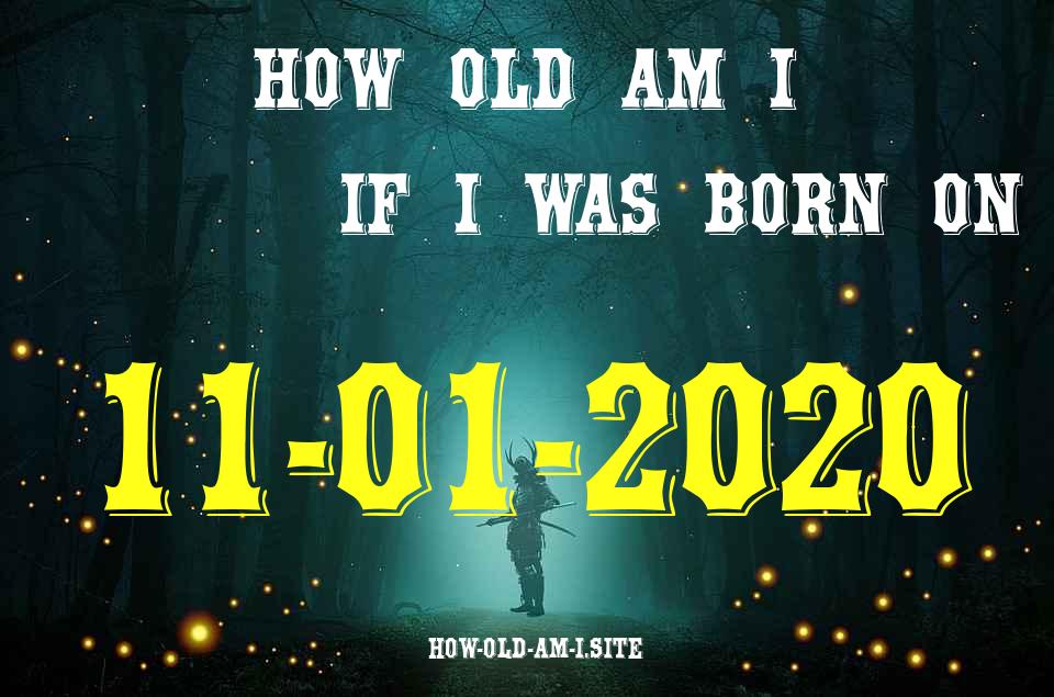 ᐈ Born On 11 January 2020 My Age in 2024? [100% ACCURATE Age Calculator!]