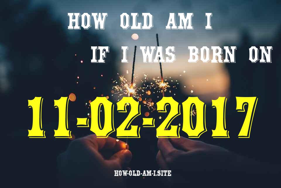 ᐈ Born On 11 February 2017 My Age in 2024? [100% ACCURATE Age Calculator!]