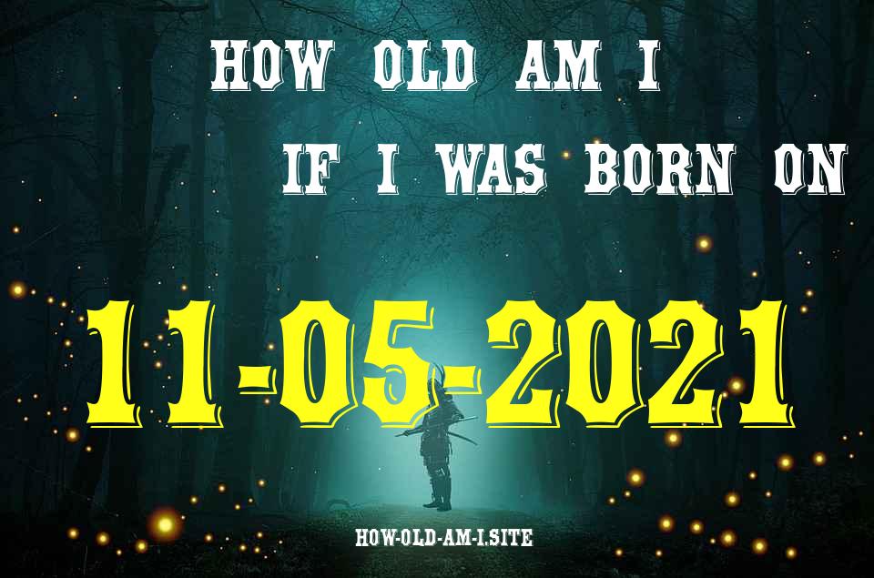 ᐈ Born On 11 May 2021 My Age in 2024? [100% ACCURATE Age Calculator!]
