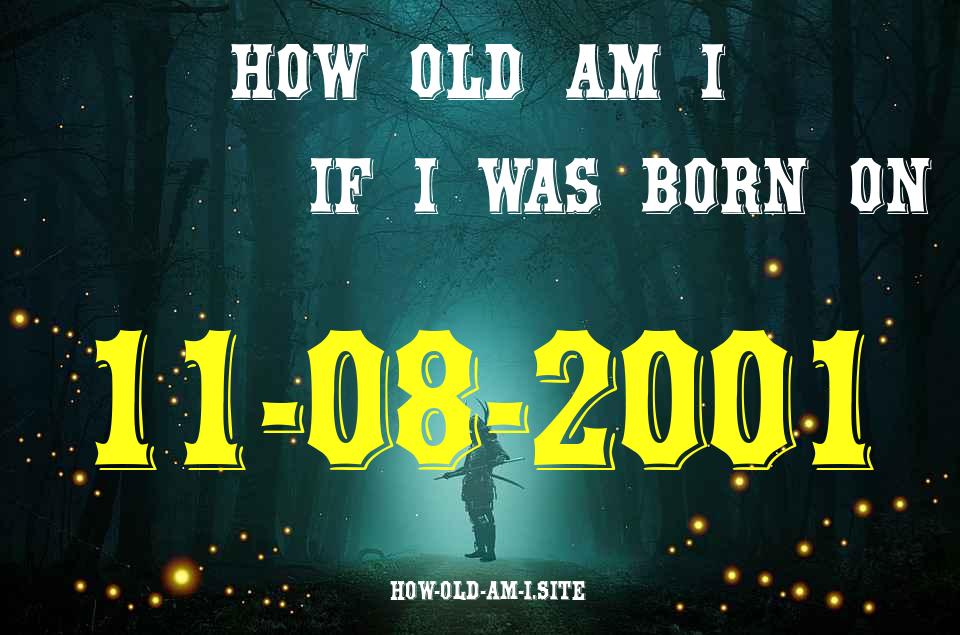 ᐈ Born On 11 August 2001 My Age in 2024? [100% ACCURATE Age Calculator!]