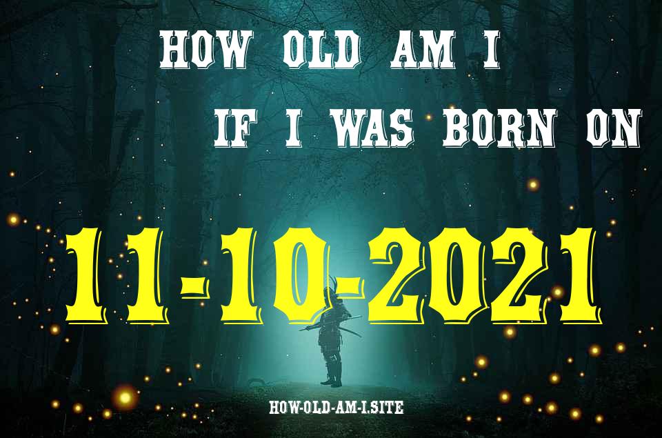 ᐈ Born On 11 October 2021 My Age in 2024? [100% ACCURATE Age Calculator!]