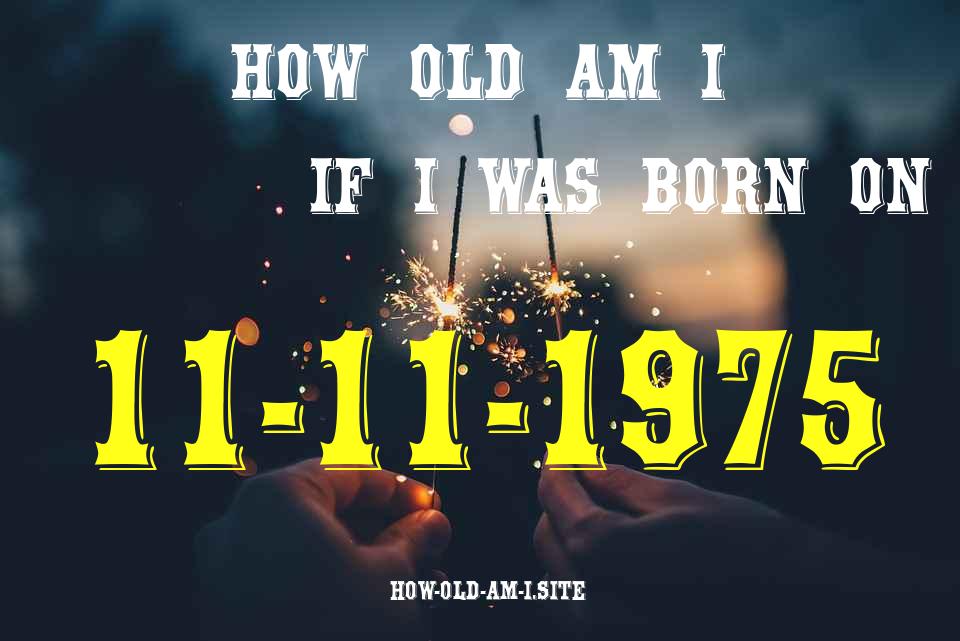 ᐈ Born On 11 November 1975 My Age in 2024? [100% ACCURATE Age Calculator!]