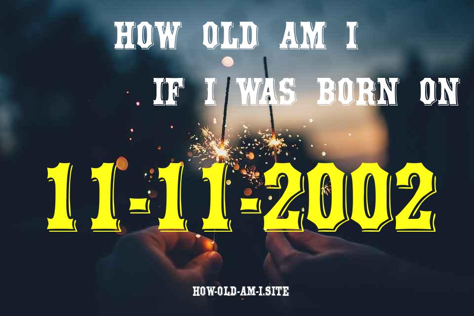 ᐈ Born On 11 November 2002 My Age in 2024? [100% ACCURATE Age Calculator!]
