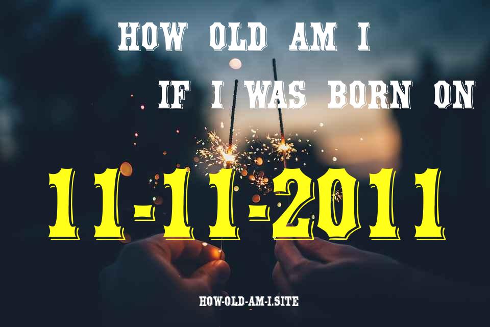 ᐈ Born On 11 November 2011 My Age in 2024? [100% ACCURATE Age Calculator!]