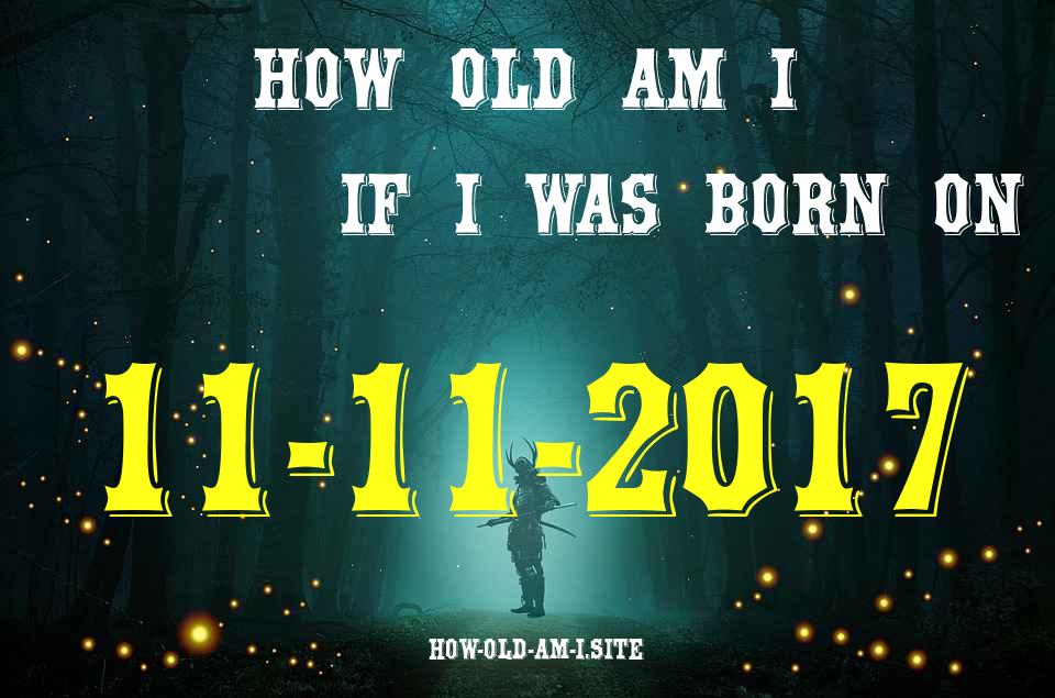ᐈ Born On 11 November 2017 My Age in 2024? [100% ACCURATE Age Calculator!]