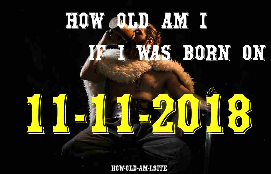ᐈ Born On 11 November 2018 My Age in 2024? [100% ACCURATE Age Calculator!]