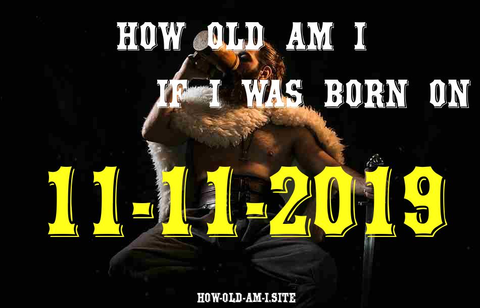 ᐈ Born On 11 November 2019 My Age in 2024? [100% ACCURATE Age Calculator!]